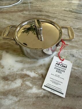 All Clad Steel 1/2 Quart Mini Dutch Oven